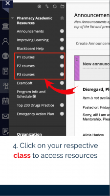 Step four of steps to access SEA services