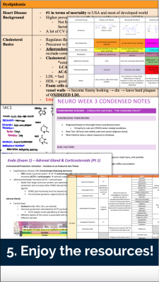 Step five of steps to access SEA services